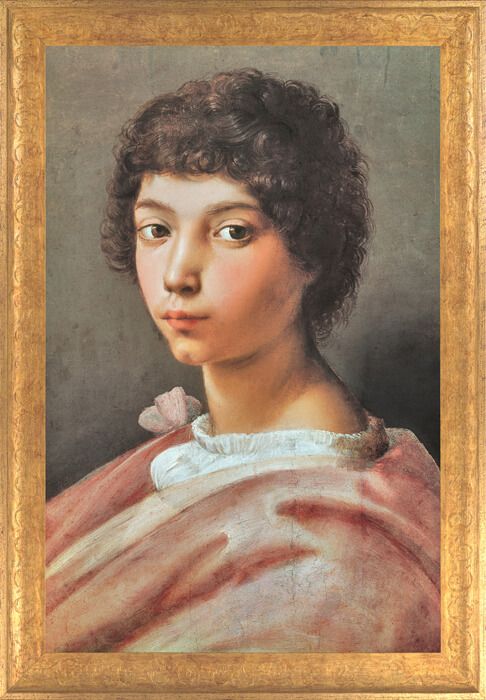 Raffael Bildnis eines jungen Mannes
